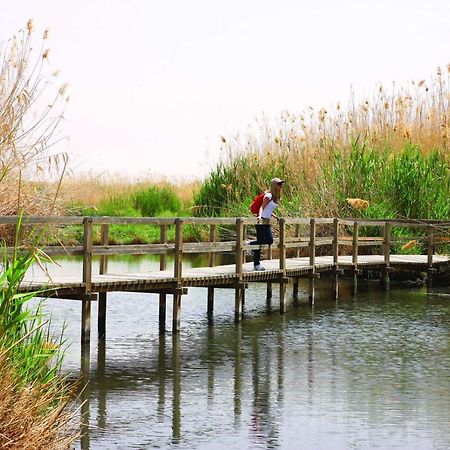 Azraq Rest House Al Azraq ash Shamālī エクステリア 写真