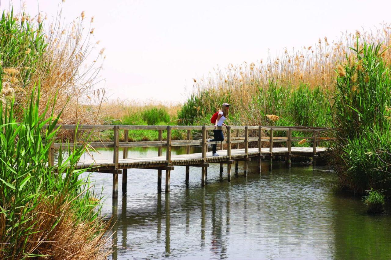 Azraq Rest House Al Azraq ash Shamālī エクステリア 写真
